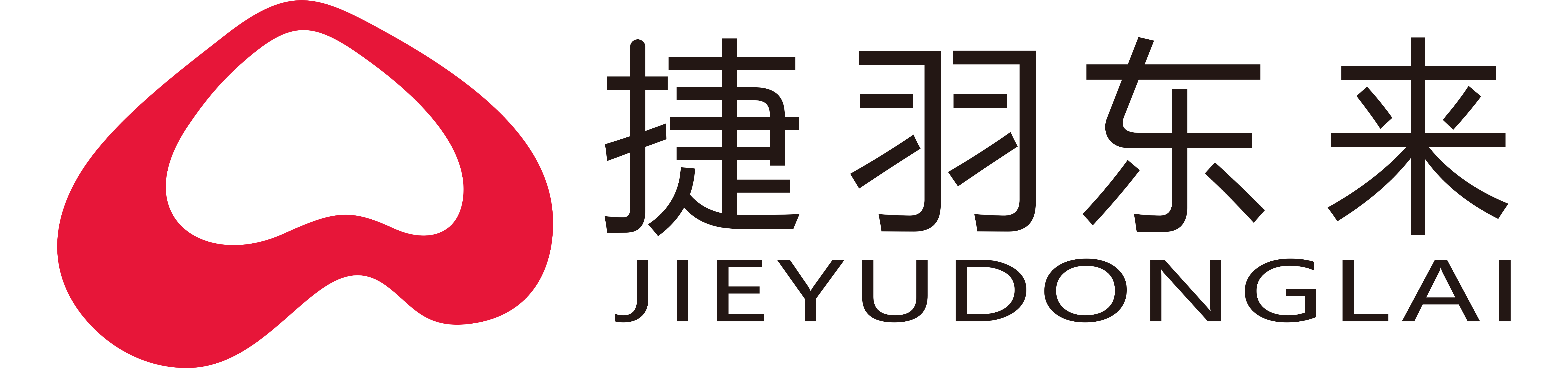 中国捷羽东来